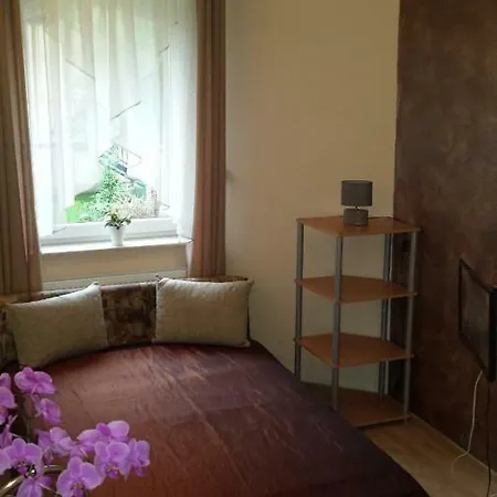 Проживание в семье Architekt