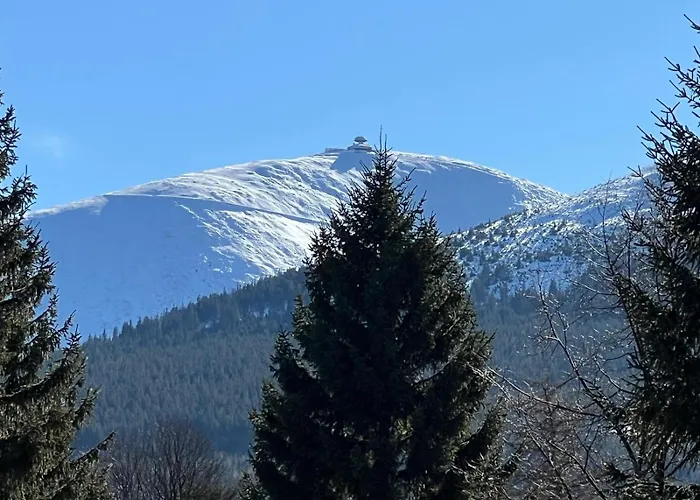 Architekt 카르파츠