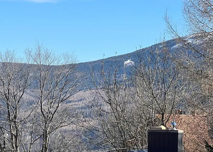 Architekt 홈스테이 *